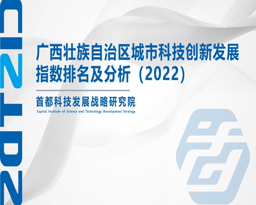 操白虎嫩B【成果发布】广西壮族自治区城市科技创新发展指数排名及分析（2022）